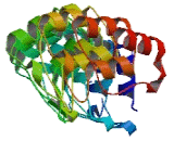 Ankyrin Repeat Domain Protein 32 (ANKRD32)