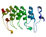 Ankyrin Repeat Domain Protein 39 (ANKRD39)