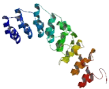 Ankyrin Repeat Domain Protein 40 (ANKRD40)