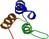 Ankyrin Repeat Domain Protein 42 (ANKRD42)