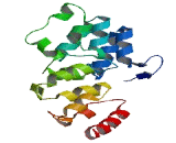 Ankyrin Repeat Domain Protein 46 (ANKRD46)