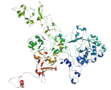 Ankyrin Repeat Domain Protein 52 (ANKRD52)