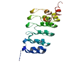 Ankyrin Repeat Domain Protein 53 (ANKRD53)