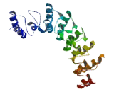 Ankyrin Repeat Domain Protein 56 (ANKRD56)