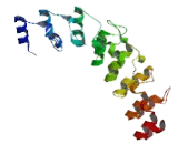 Ankyrin Repeat Domain Protein 60 (ANKRD60)