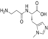 Anserine (Ans)