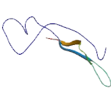 Anti-Mullerian Hormone (AMH)