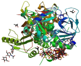 Antithrombin Thrombin Heparin Ternary Complex (TAT-H)