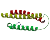 Apolipoprotein A5 (APOA5)