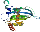 Apolipoprotein B mRNA Editing Enzyme Catalytic Polypeptide 3G (APOBEC3G)