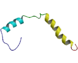 Apolipoprotein C1 (APOC1)