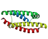 Apolipoprotein E (APOE)