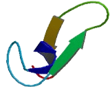 Apolipoprotein L Domain Containing Protein 1 (APOLD1)