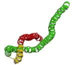 Apolipoprotein L3 (APOL3)