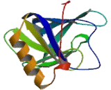 Apolipoprotein M (APOM)