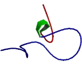 Apoptosis, Caspase Activation Inhibitor (AVEN)