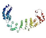 Apoptosis Inhibitor 5 (API5)