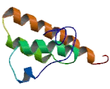 Apoptosis Related Protein 2 (APR2)