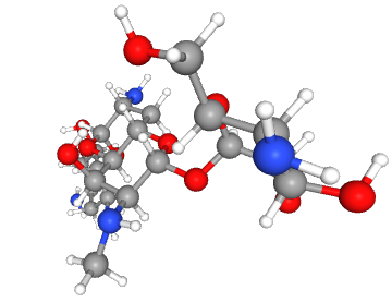 Apramycin (APM)