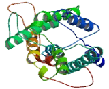 Aquaporin 12B (AQP12B)