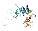 Aquarius Homolog (AQR)