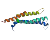 Arachidonate-5-Lipoxygenase Activating Protein (ALOX5AP)