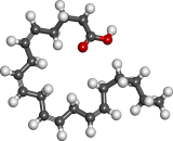 Arachidonic Acid (AA)