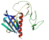 ArfGAP With GTPase, ANK Repeat And PH Domain Containing Protein 11 (AGAP11)