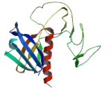 ArfGAP With GTPase, ANK Repeat And PH Domain Containing Protein 5 (AGAP5)