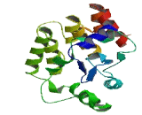 ArfGAP With GTPase, ANK Repeat And PH Domain Containing Protein 6 (AGAP6)