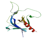 ArfGAP With GTPase, ANK Repeat And PH Domain Containing Protein 7 (AGAP7)