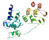 ArfGAP With GTPase, ANK Repeat And PH Domain Containing Protein 8 (AGAP8)