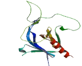 ArfGAP With GTPase, ANK Repeat And PH Domain Containing Protein 9 (AGAP9)