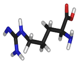 Arginine (Arg)