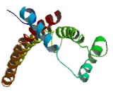 Arginine And Glutamate Rich Protein 1 (ARGLU1)