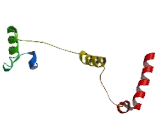 Arginine/Serine Rich Coiled Coil Protein 2 (RSRC2)