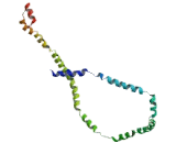 Arginyltransferase 1 (ATE1)