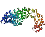 Armadillo Repeat Containing Protein 3 (ARMC3)