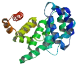 Armadillo Repeat Containing Protein 4 (ARMC4)