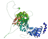 Armadillo Repeat Containing Protein 8 (ARMC8)