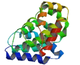 Armadillo Repeat Containing Protein 9 (ARMC9)