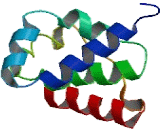 Armadillo Repeat Containing Protein, X-Linked 3 (ARMCX3)