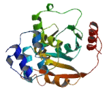 Armadillo Repeat Containing Protein, X-Linked 4 (ARMCX4)