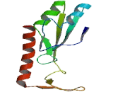 Arrestin Domain Containing Protein 2 (ARRDC2)