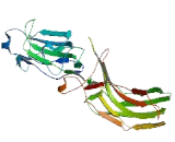 Arrestin Domain Containing Protein 5 (ARRDC5)