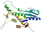 ArsA Arsenite Transporter, ATP Binding Homolog 1 (ASNA1)