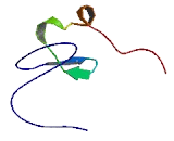 Arsenite Inducible RNA Associated Protein (AIRAP)