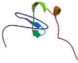 Arsenite Inducible RNA Associated Protein Like Protein (AIRAPL)