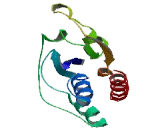 Arylsulfatase C, Isozyme F (ARSC2)