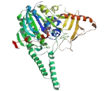 Arylsulfatase D (ARSD)